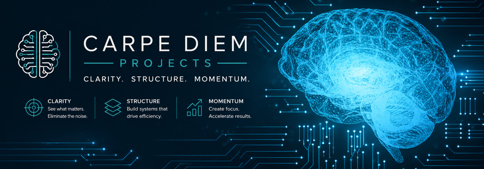 Carpe Diem Projects — Clarity. Structure. Momentum.